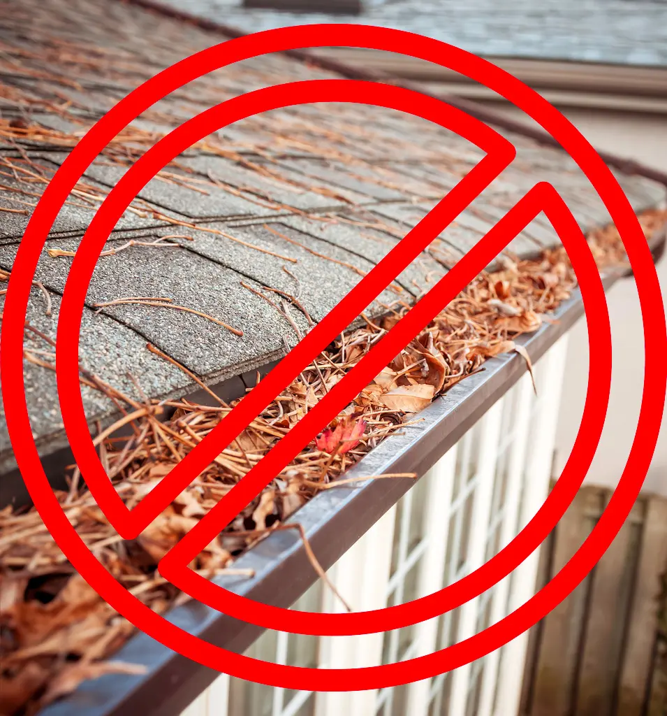 dirty leaves in gutters