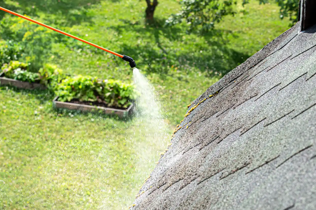 roof washing