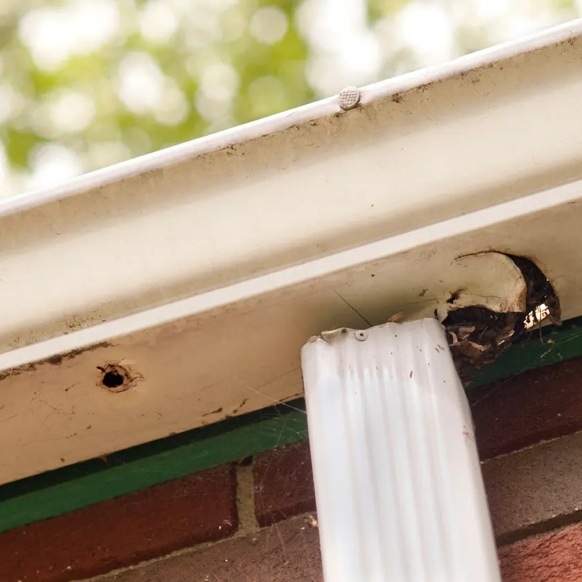 michigan gutter damage